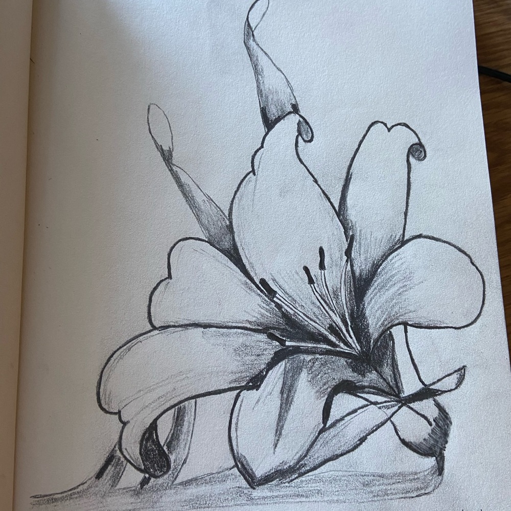 Drawing/Sketch